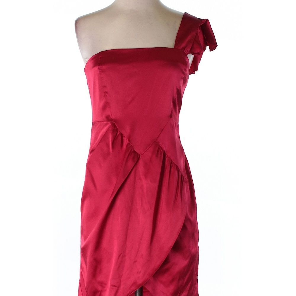 Passionately Poetic Silk Dress